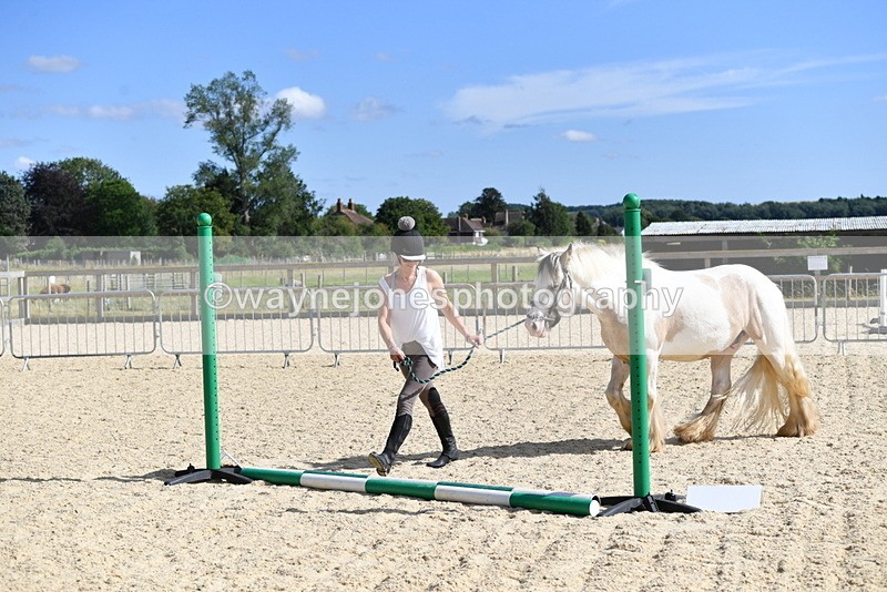 WJ5_5458 - Poles on the Floor