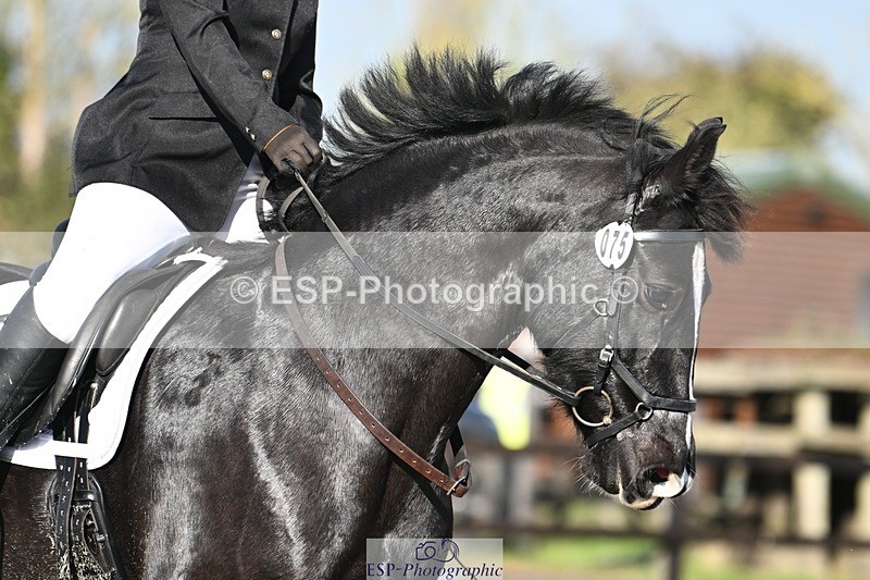 231105-111920-01356 - Cls 2 Prelim 7 11.16 to 12.35 break