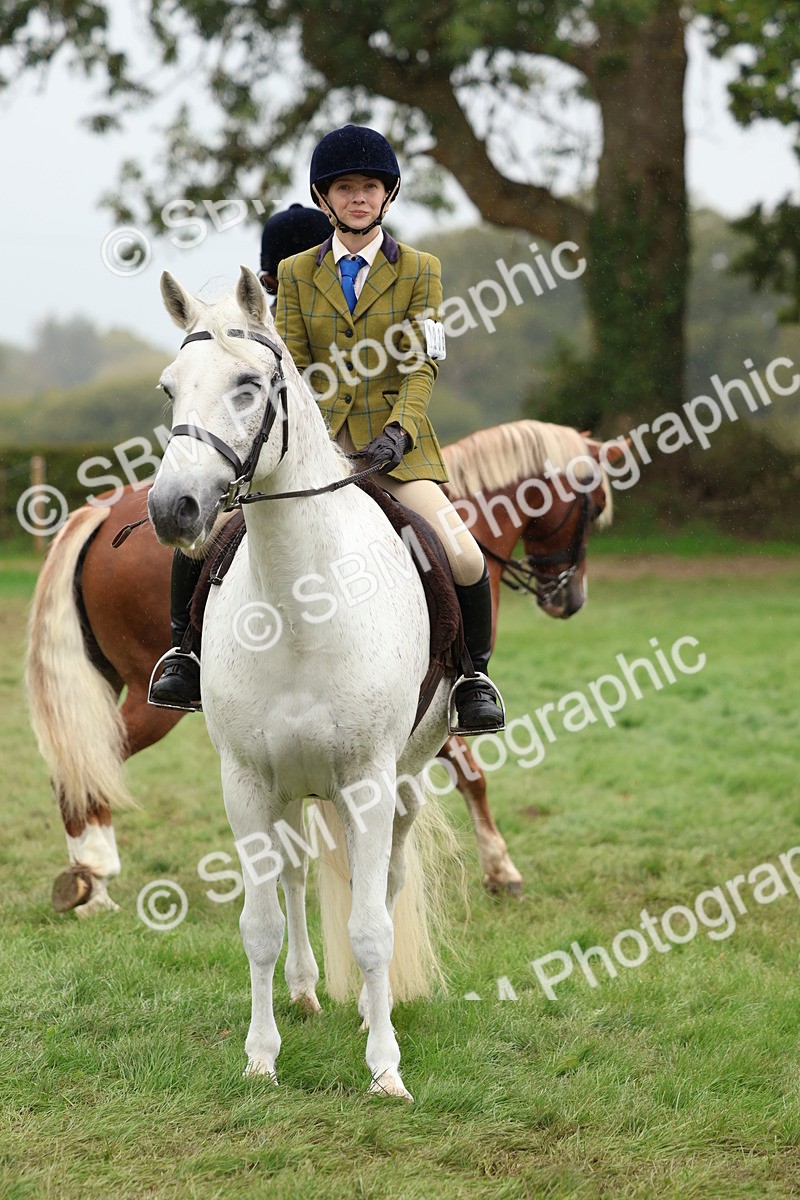 SBM_69592 - S62 - Mountain & Moorland Ridden Large Breeds