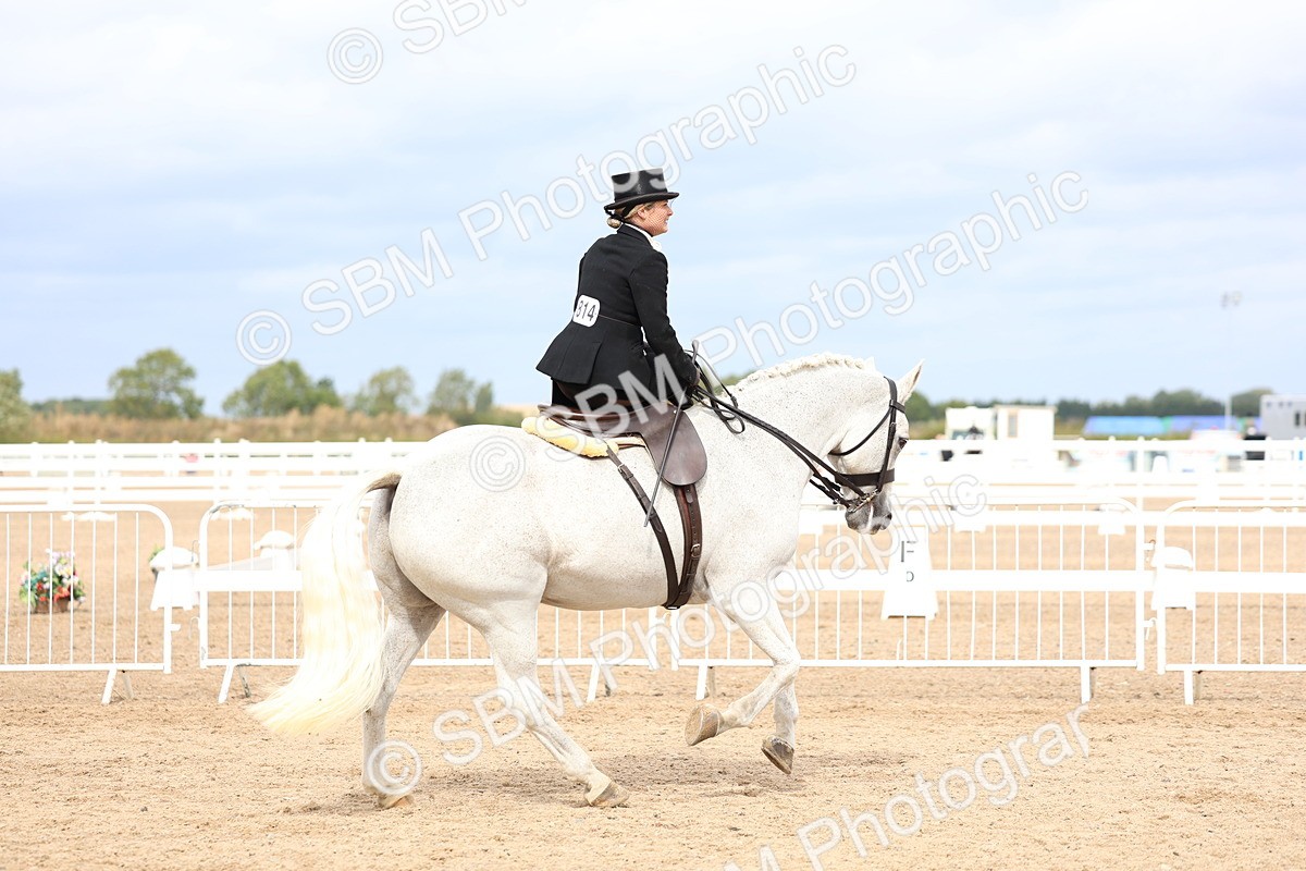 SBM_03411 - Class 24 - SSA Concours d'elegance (any age)