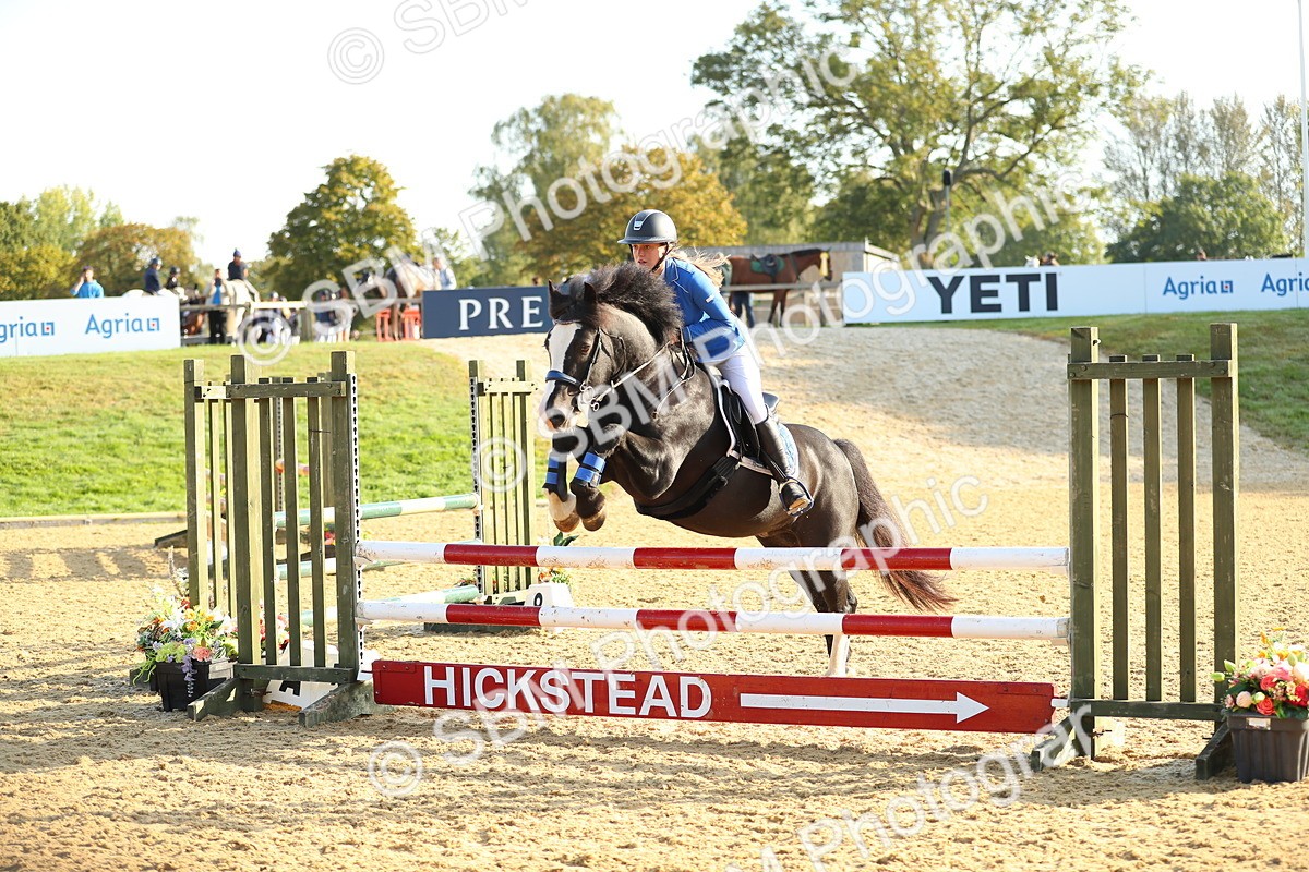 SBM_60178 - J41 - Grand Tour 95cm Championship