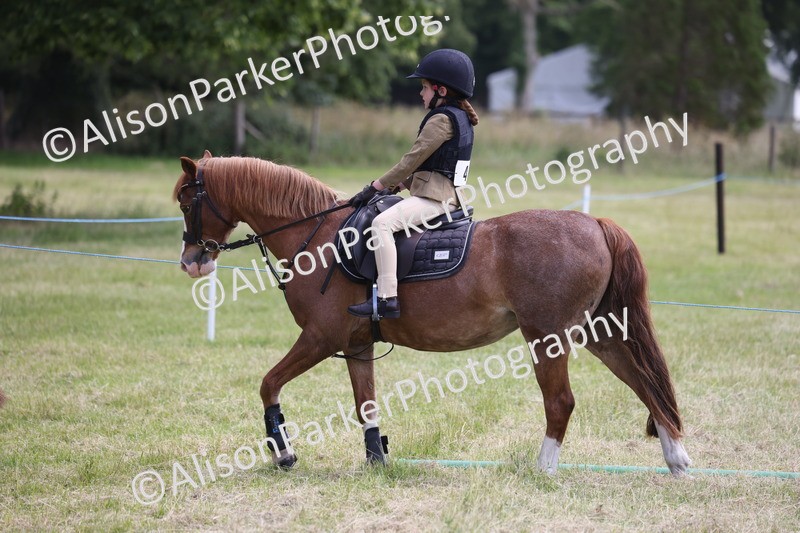 20260614-2105 - Class 21 - Novice Working Hunter Pony