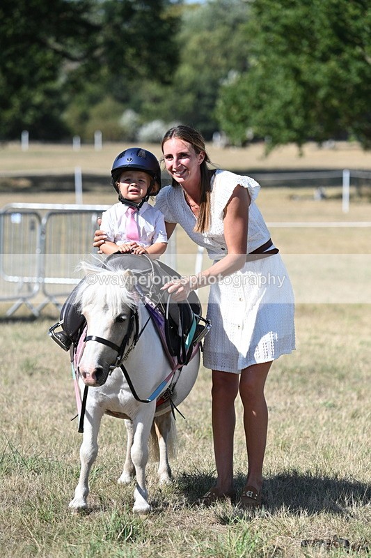 WJ7_1385 - Class 41 Prettiest Mare