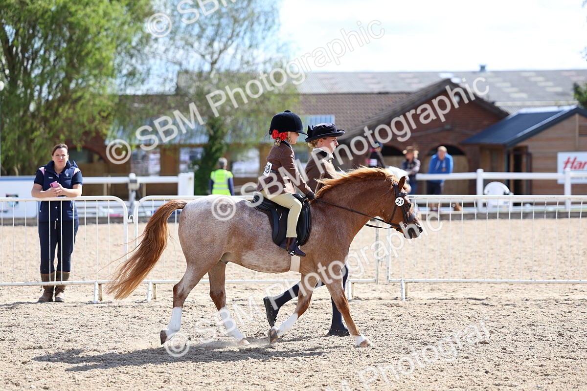 SBM_13025 - Class 309 - Lead Rein Pony