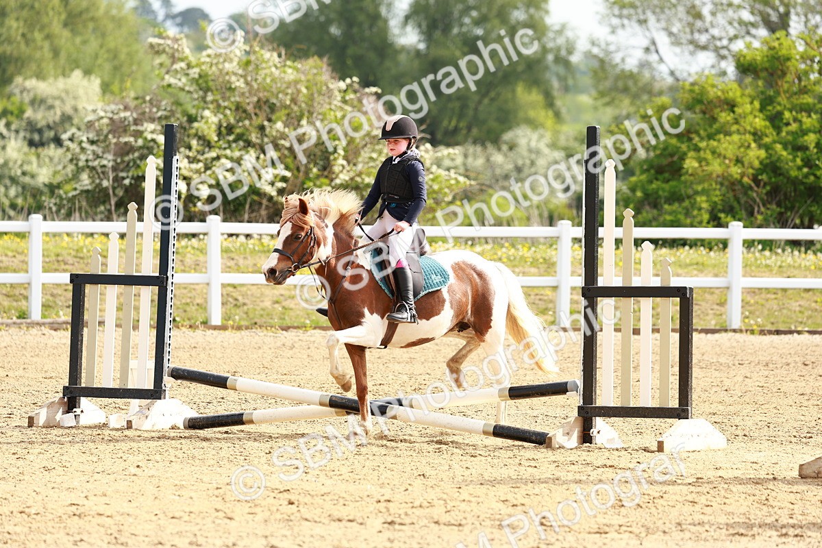 SBM_006466 - Class 1 - 40cm