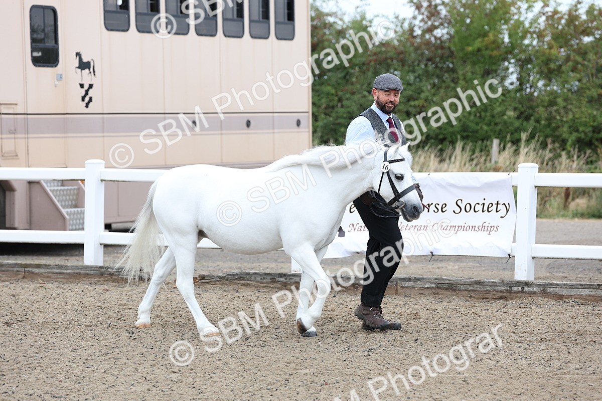 SBM_00004 - Class 50 - Best Turned Out IH