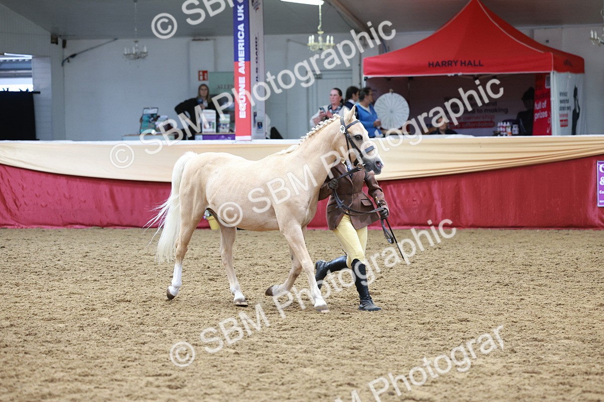 SBM_17459 - Class 951 - M&M IH Supreme Final