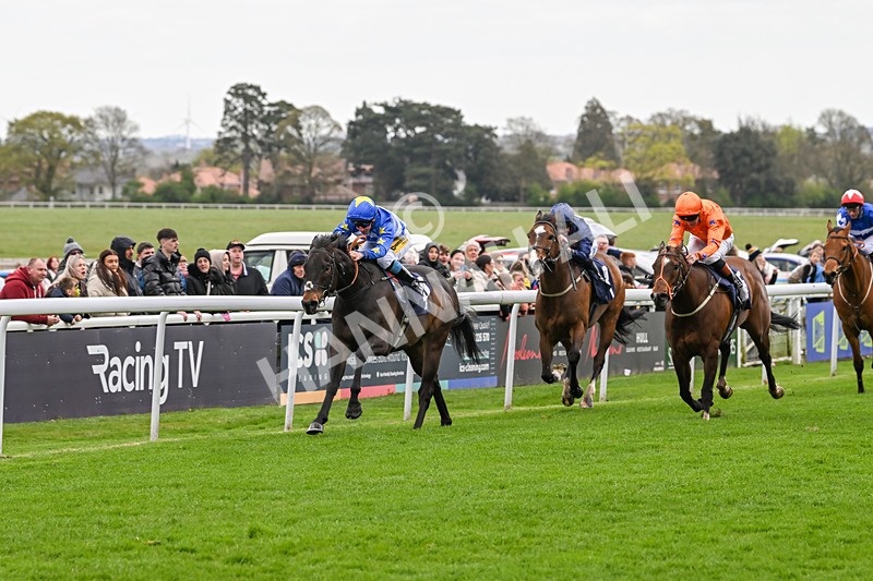 160425-Race 2-Trilby-2536 - Race 2