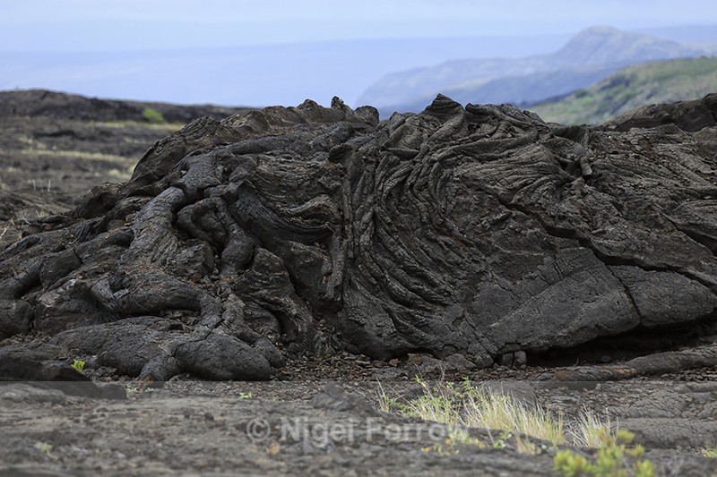 Lava field near Pu'u Loa Petroglyphs, Hawaii - Hawaiian Islands, USA
