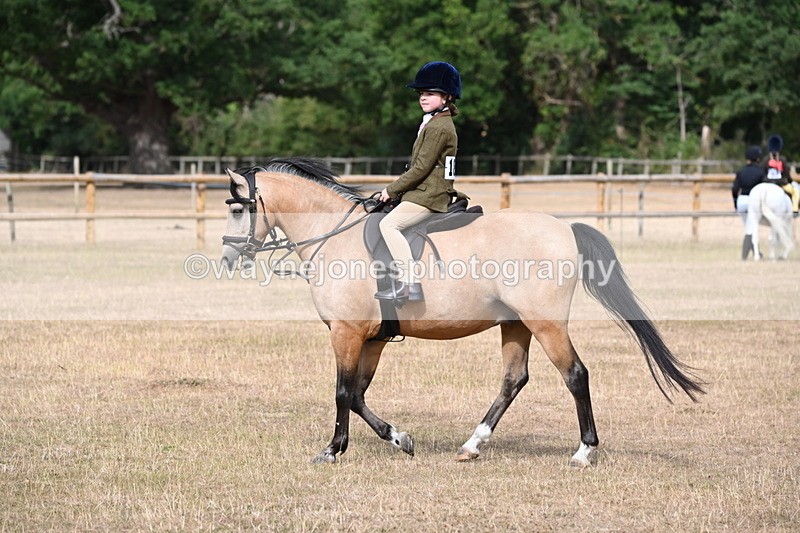 WJ6_7468 - Class 9 Tack and Turnout