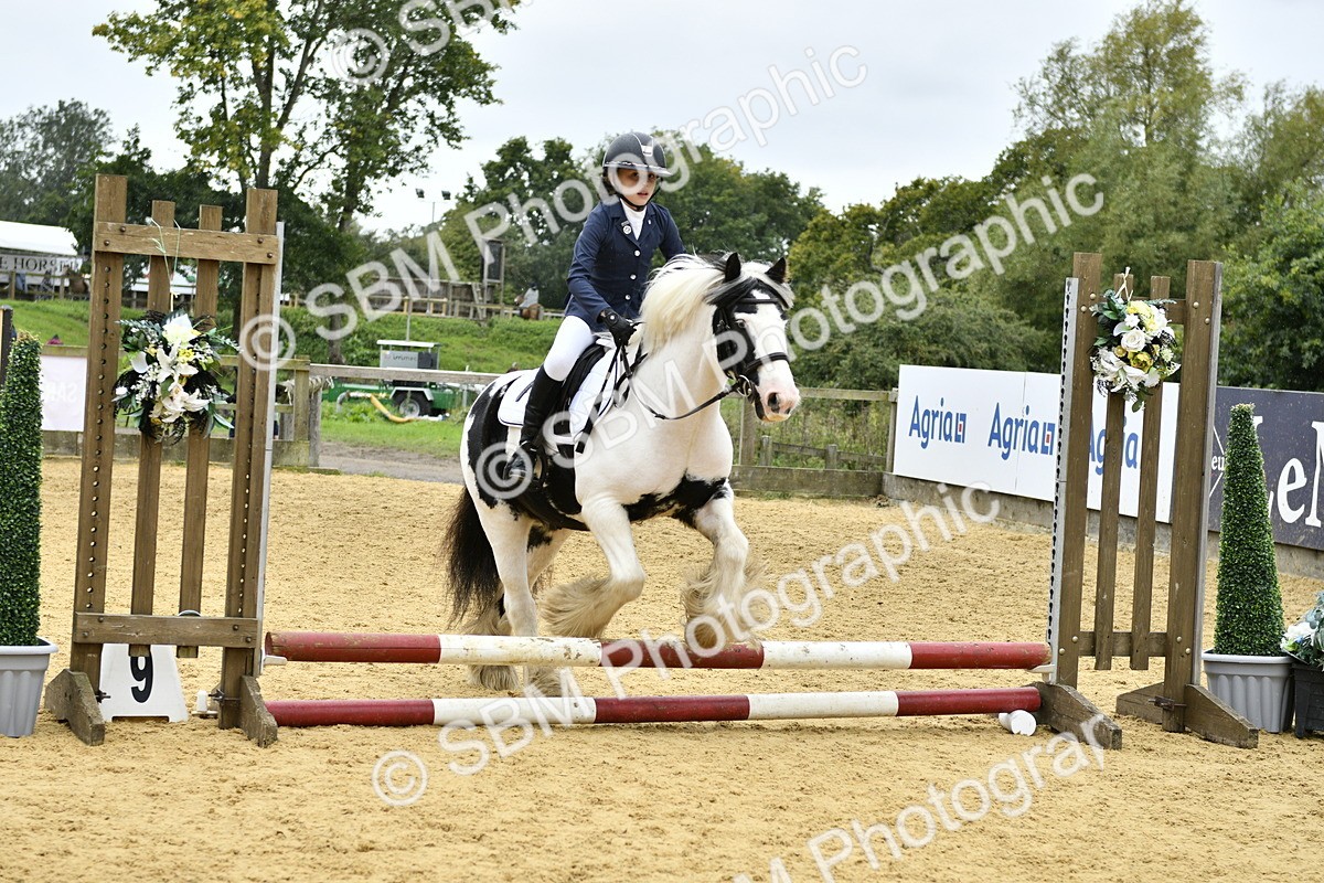 SBM_68451 - J2b - Mini Tour Junior Pony 30cm championship