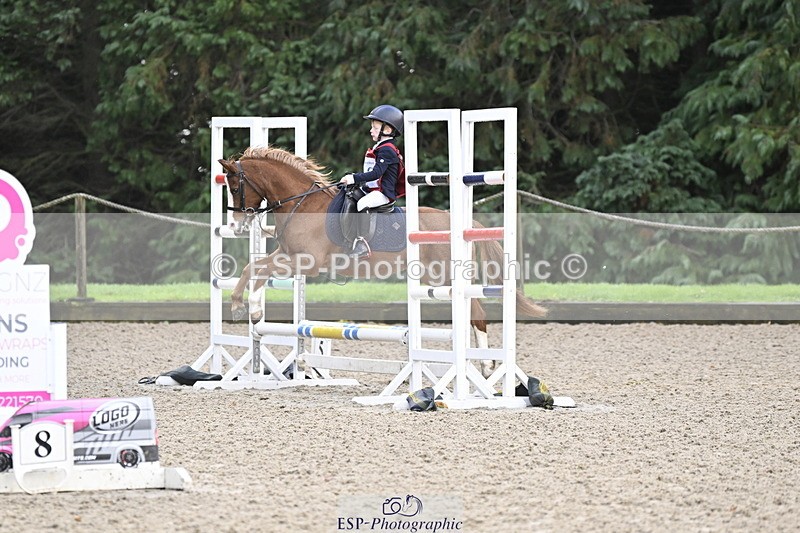 251005A-090808-02954 - Cls 02 GR 50cm