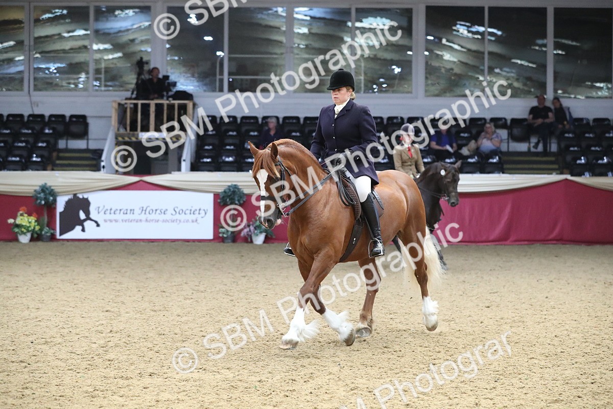 SBM_16363 - Class 502 M&M Ridden Supreme Final