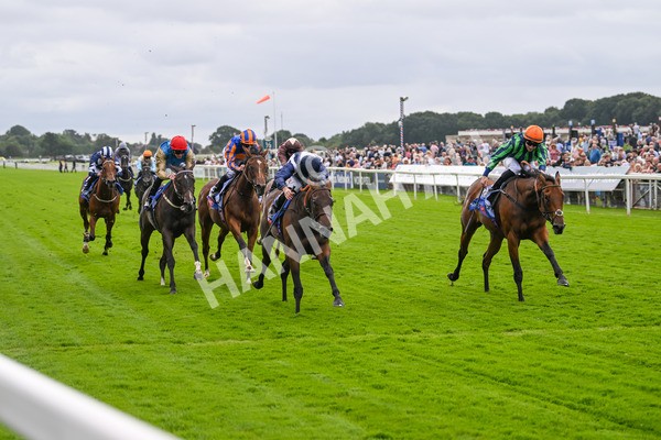 220824-Race 1-Celandine-6591 - Race 1 1.50pm Sky Bet Lowther Stakes