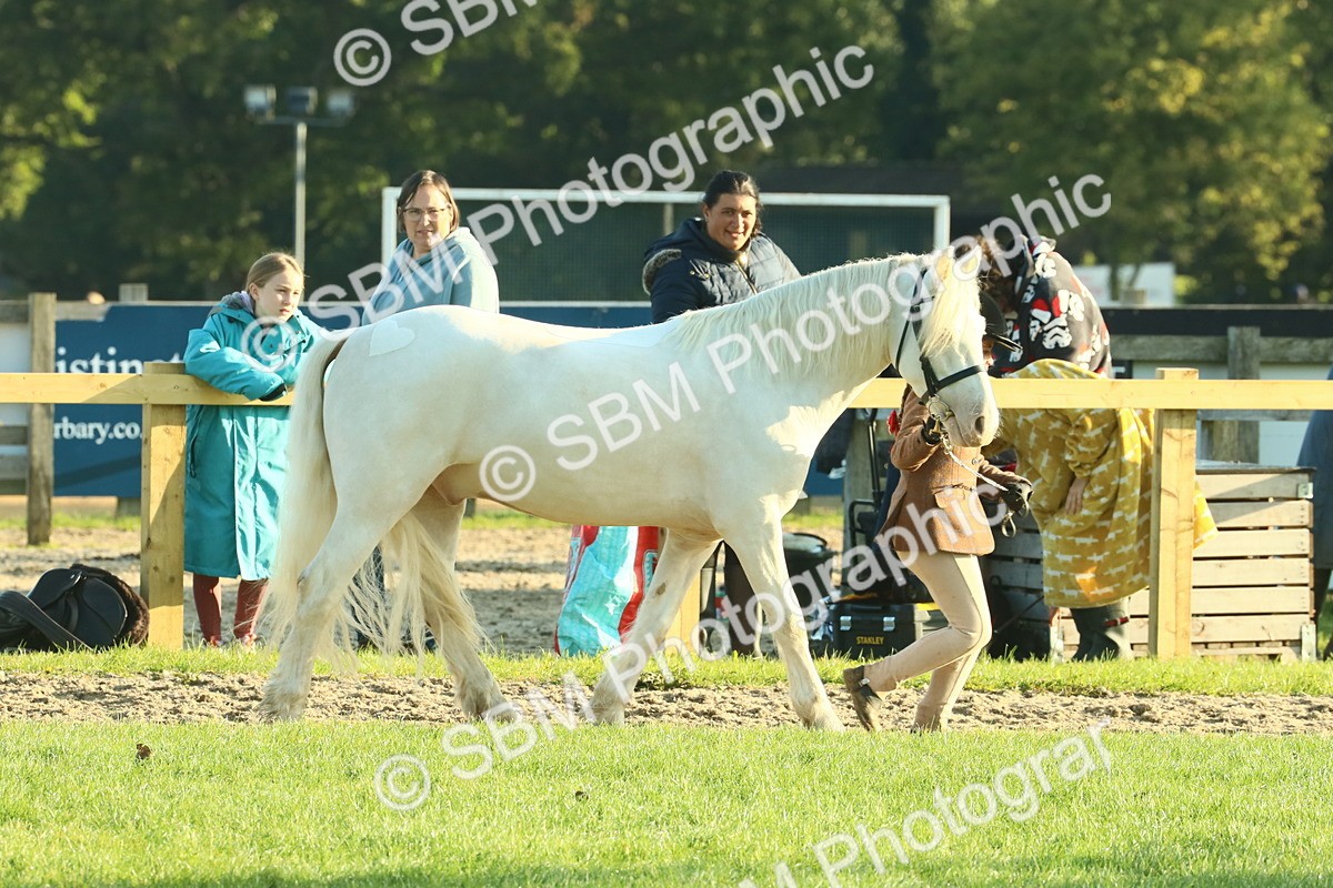 SBM_57367 - S37 - Starters In Hand Showing