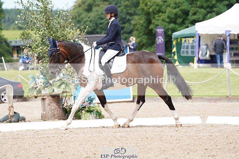 240721-113110-07809 - 124-Sophie_Savage-Two_Tone_Ted