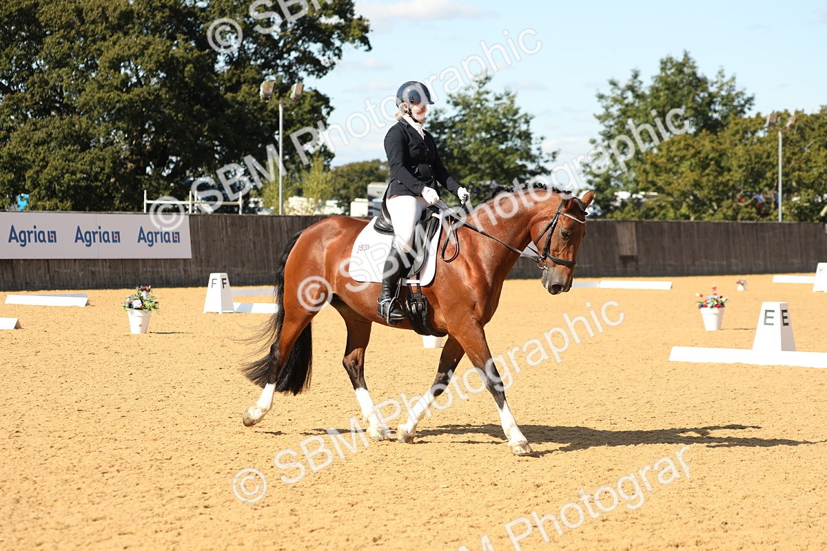 SBM_24514 - D17 - Grand Tour Championship - Novice 27