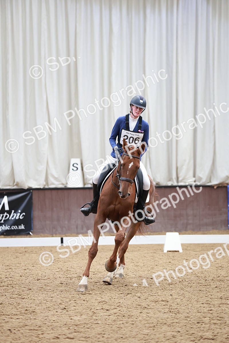 SBM_003803 - Class 2 - Novice 2020