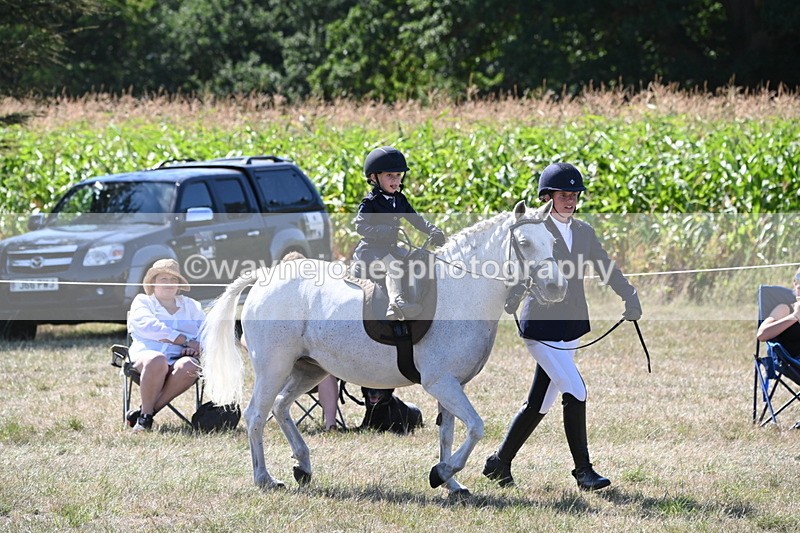 WJ6_7993 - Class 36 Lead Rein