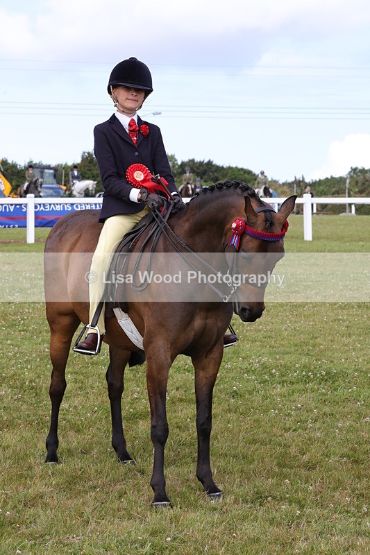 1X9A3923 - Class 31: Show Pony 148cm and under