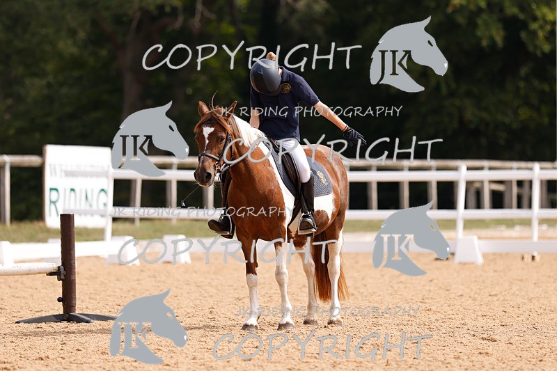 _R6A2301 - Dressage Morning