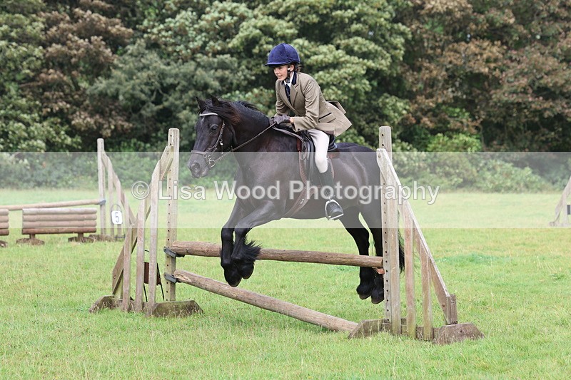 3E7A5811 - Class 26 and 27: 70cm Working Hunter