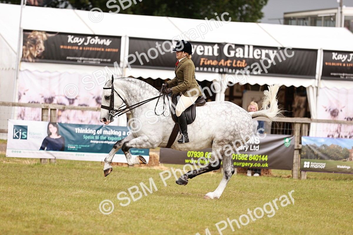 SBM_13027 - Class 85-87 - RIHS Cobs