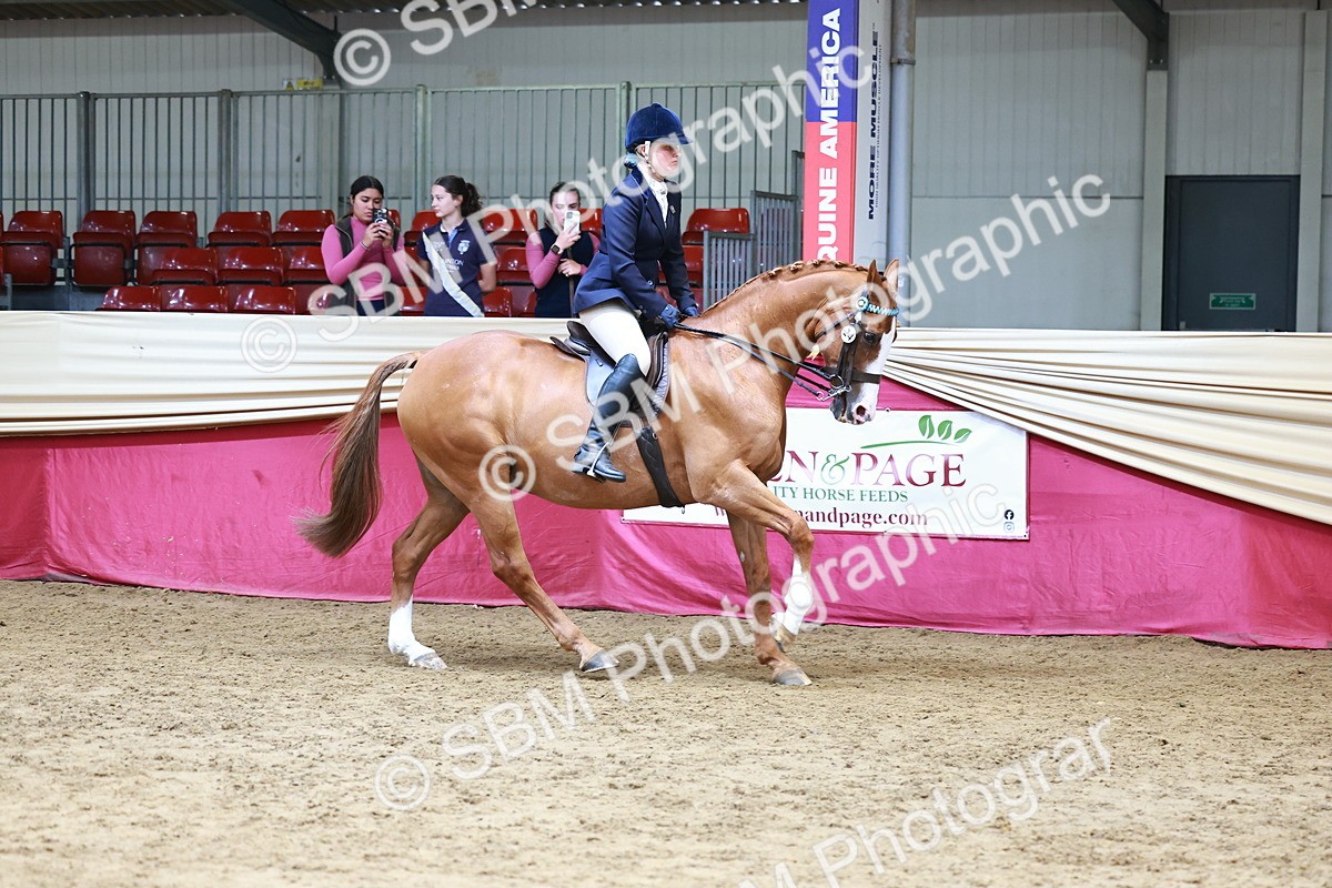SBM_23724 - Class 905 - Supreme Final - Ridden Veteran