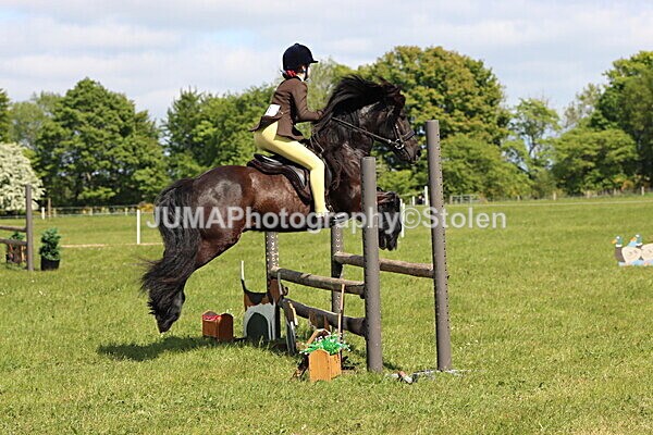 IMG_4295 - Working Hunter