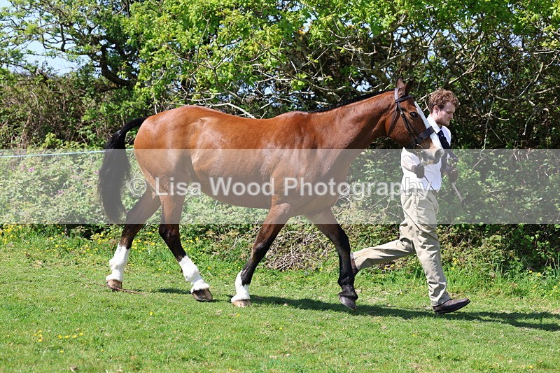 3E7A0274 - Class 19: Best Coloured in Hand