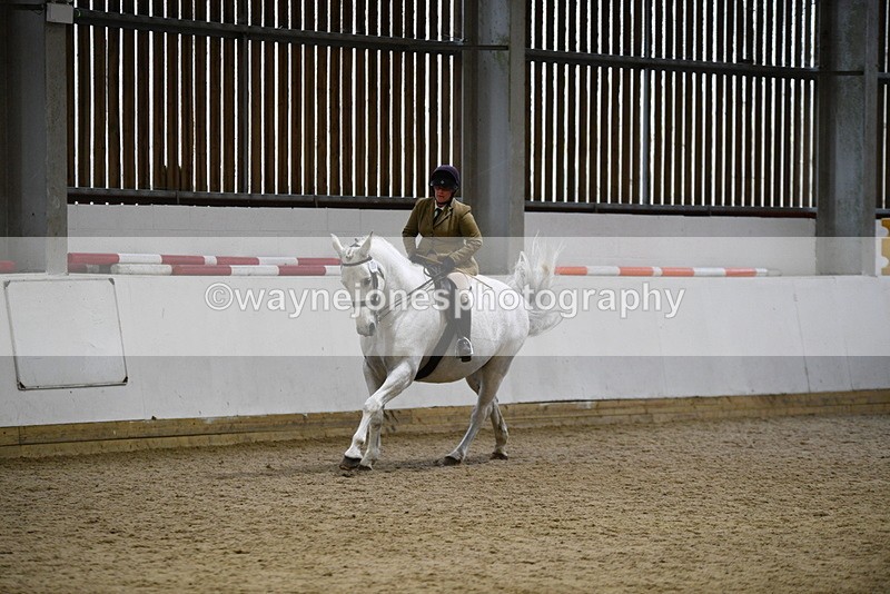 WJ5_9046 - Class 15 Ridden Show Horse