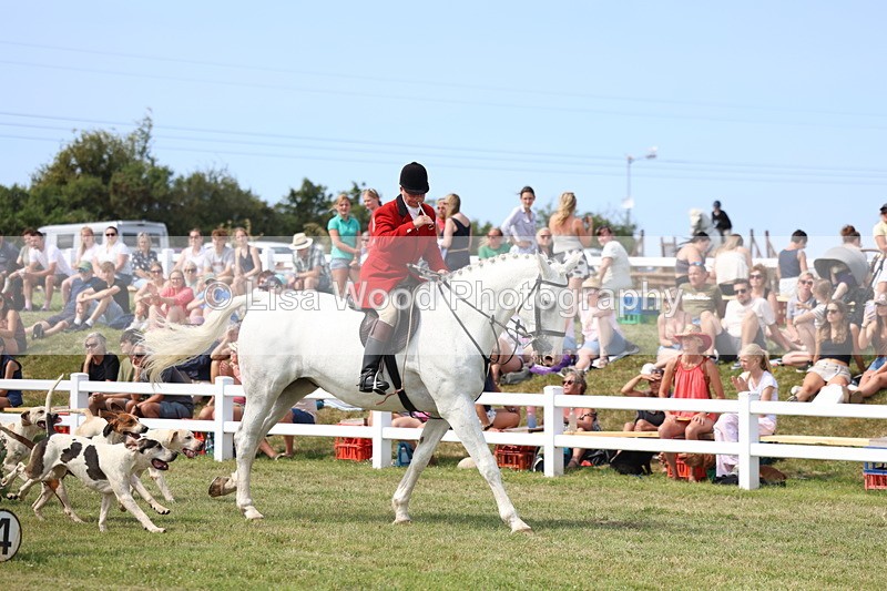 3E7A0152 - Parade of Hounds