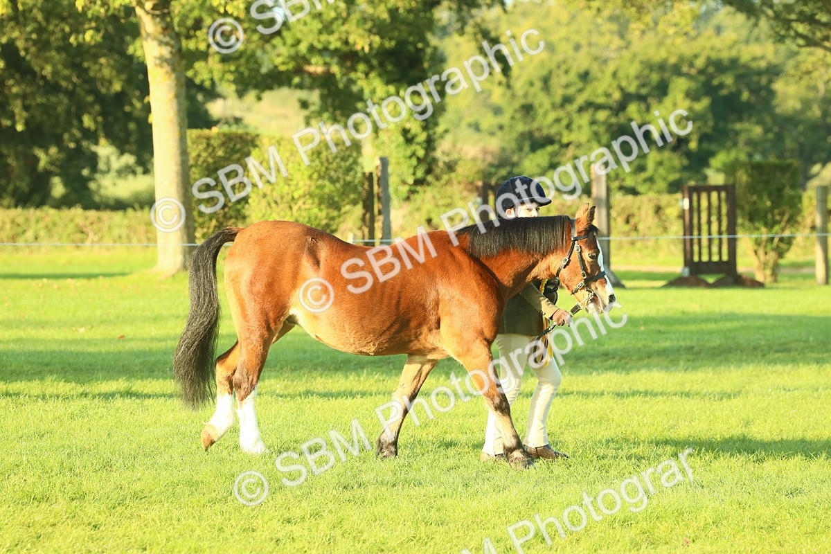 SBM_56769 - S36 - Starters Best Turnout