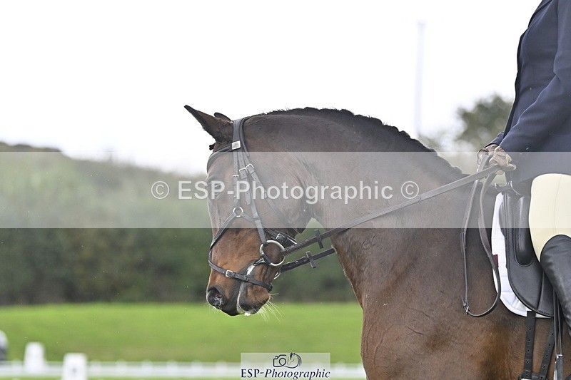 251023A-115751-03975 - F-418-Caroline.Davies