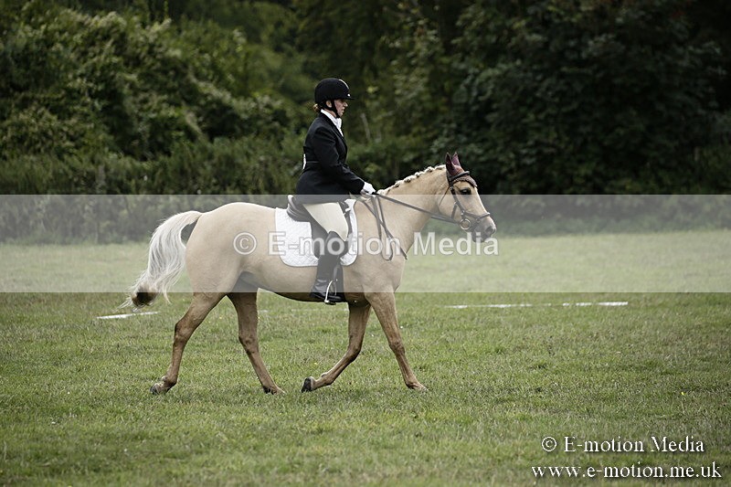 BVR080918 305 - BVRC Novice Dressage & CR 08/09/18