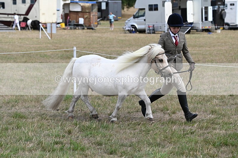 WJ6_5956 - Class 19 In-hand Veterans (Uploaded correct folder)