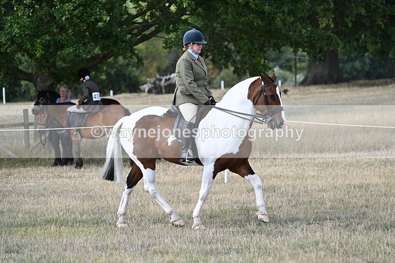 WJ7_6856 - Class 14 Ridden Coloured