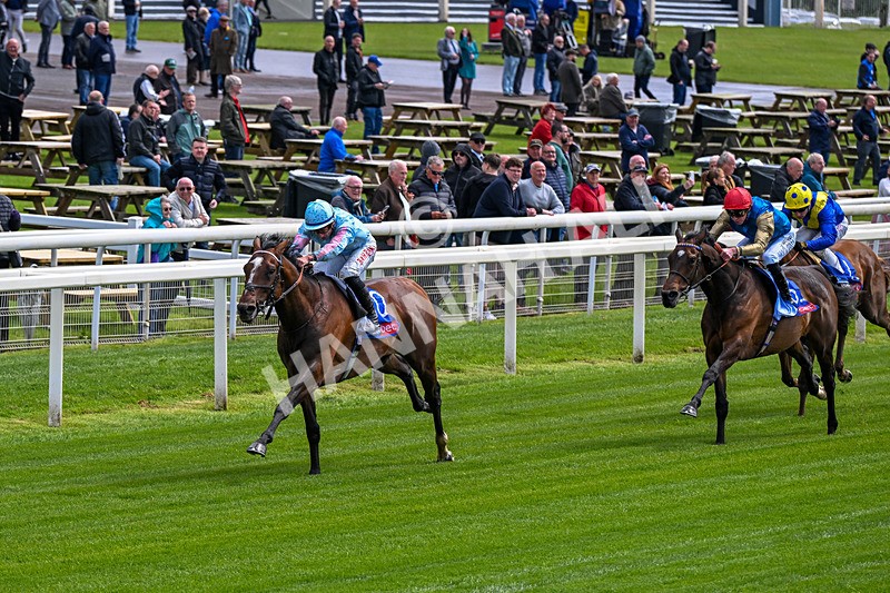 130526-Race 2-Klassleader-0091 - Race 2 2.20pm Sky Bet Race To The Ebor Jorvik Handicap