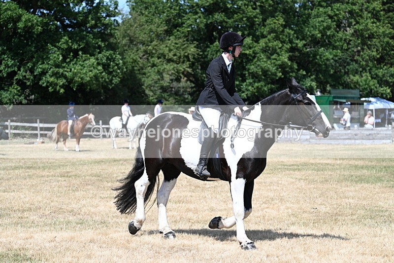 WJ7_3420 - Class 8 Ridden Veterans