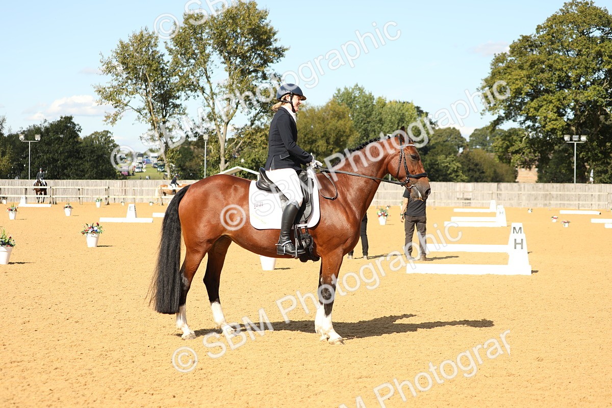 SBM_24547 - D17 - Grand Tour Championship - Novice 27