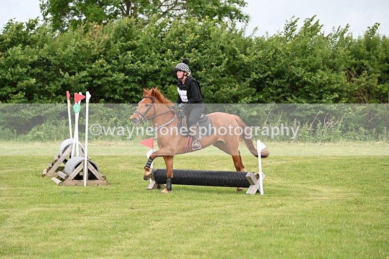 WJ6_2204 - Class 2 40cm