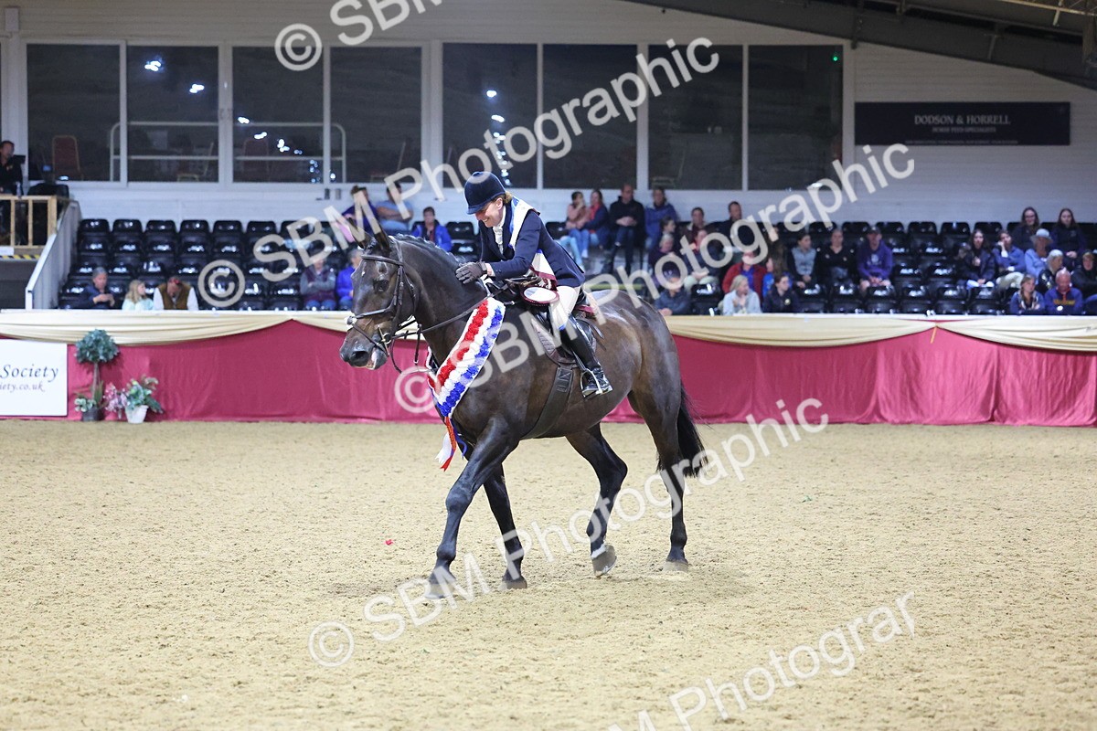 0B8A4704 - Class R Working Veteran Champ