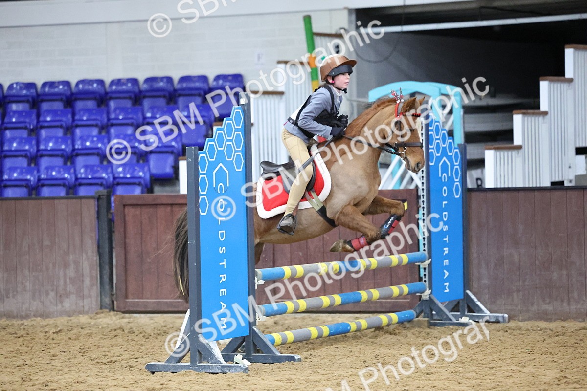 SBM_001103 - Class 3 - Christmas Tree Stakes - 60cm