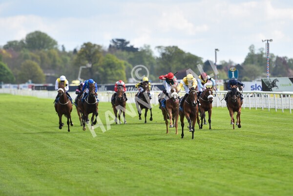 yr12052021r5-19 - Race 5 3.40pm Sky Bet Stakes