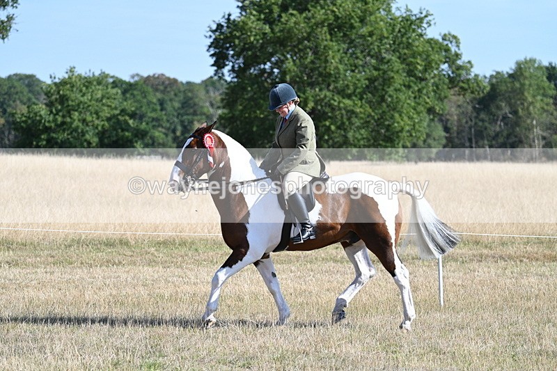 WJ7_3224 - Class 8 Ridden Tack & Turnout