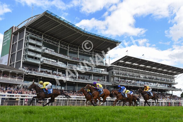 yr11062022r6-37 - Race 6 4.15pm Reg Griffin Appreciation EBFstallions.com Maiden Stakes