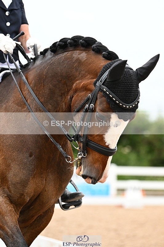 240623A-154820-19791 - Cls 54 BD Medium 73