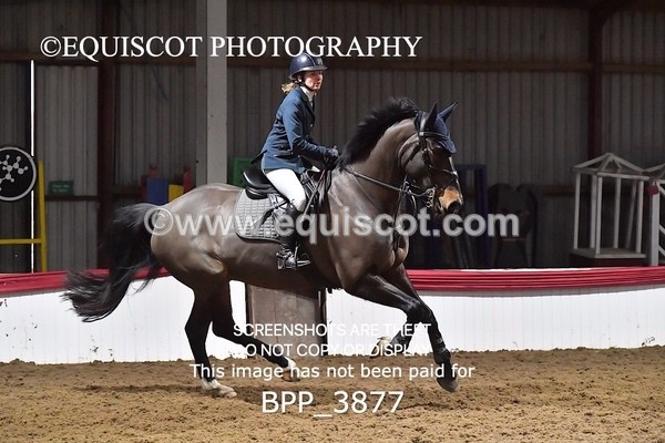 BPP_3877 - CLASS 16 Senior Newcomers/ 1.10m Open