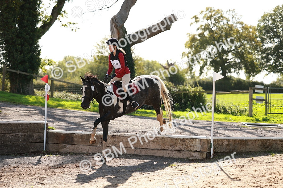 SBM_17369 - E4b - Eventers Challenge 60cm Open