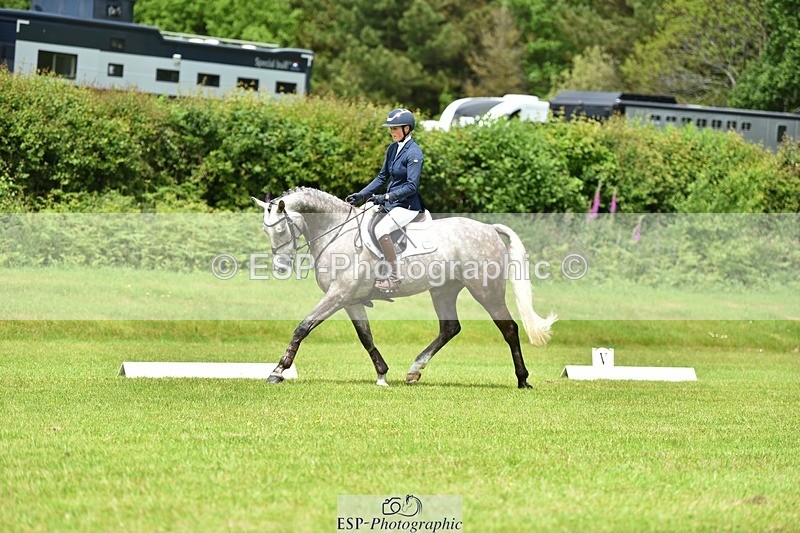 240523B-123254-02170 - 5 Year Old